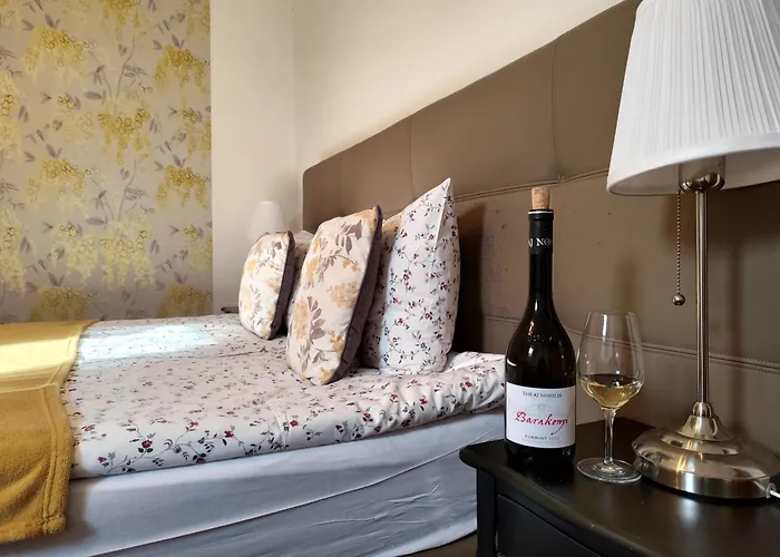 Konukevi Tokaj Nobilis Udvarhaz Bodrogkeresztur